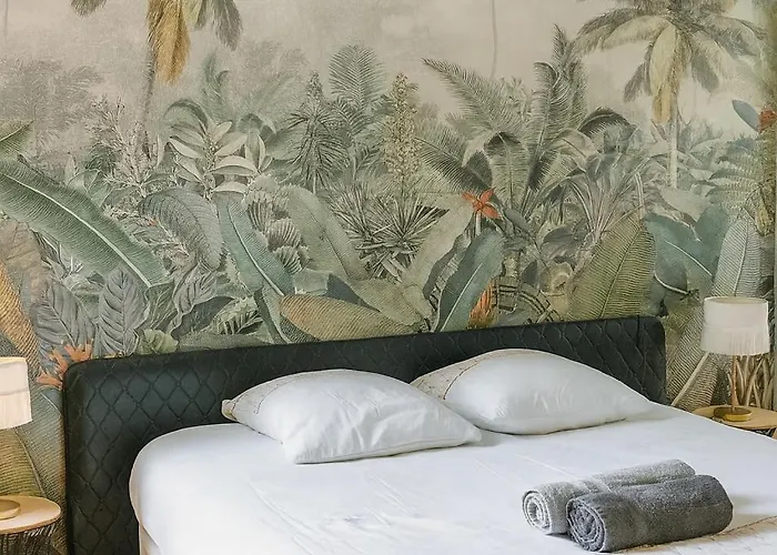 T2 Premium Avec Terrasse Chez Henri